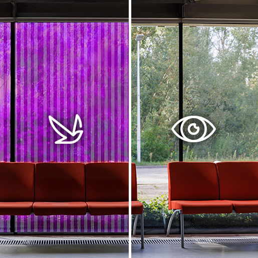BirdShades | Schutzfolie für Vögel